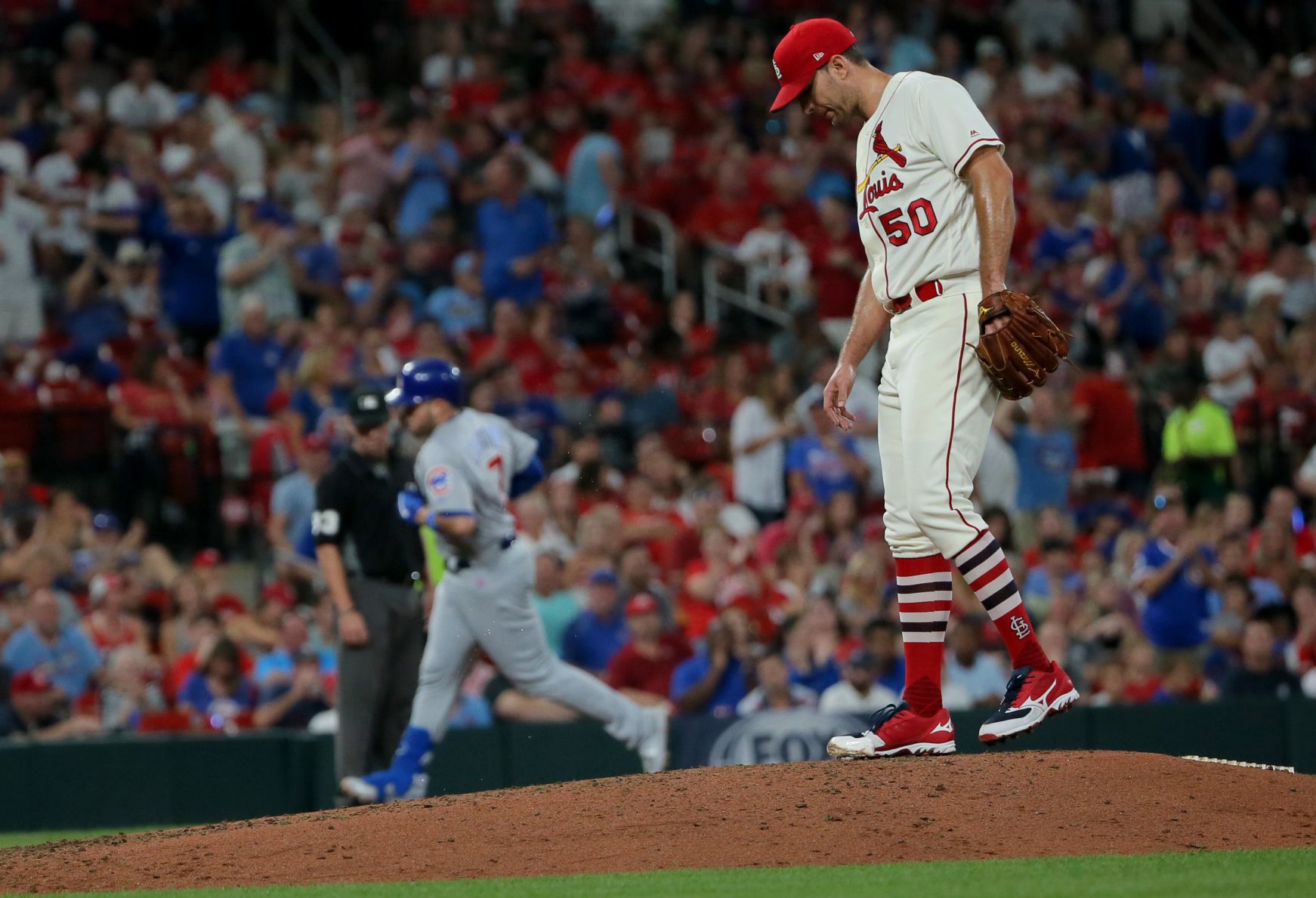 Chicago Cubs vs St. Louis Cardinals